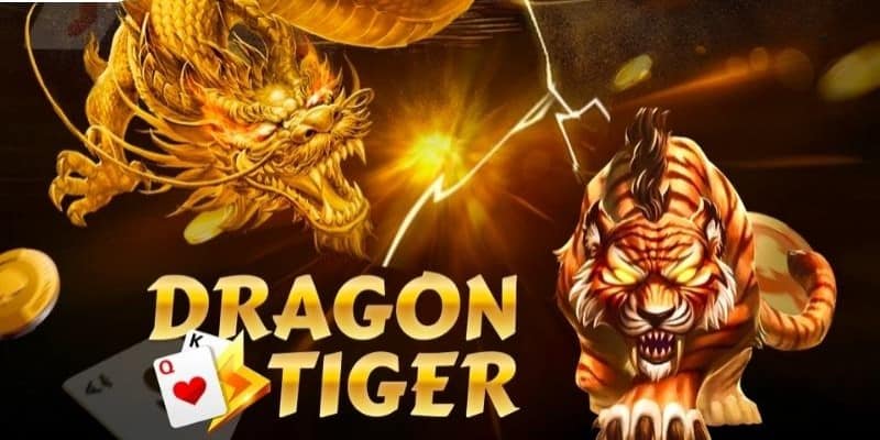 Kinh nghiệm Rồng hổ là gì, chơi như thế nào cho hiệu quả