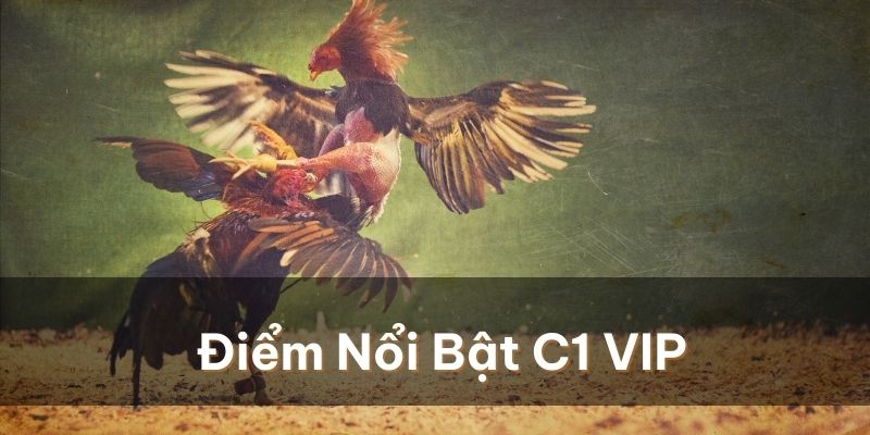 Sới Gà Thomo